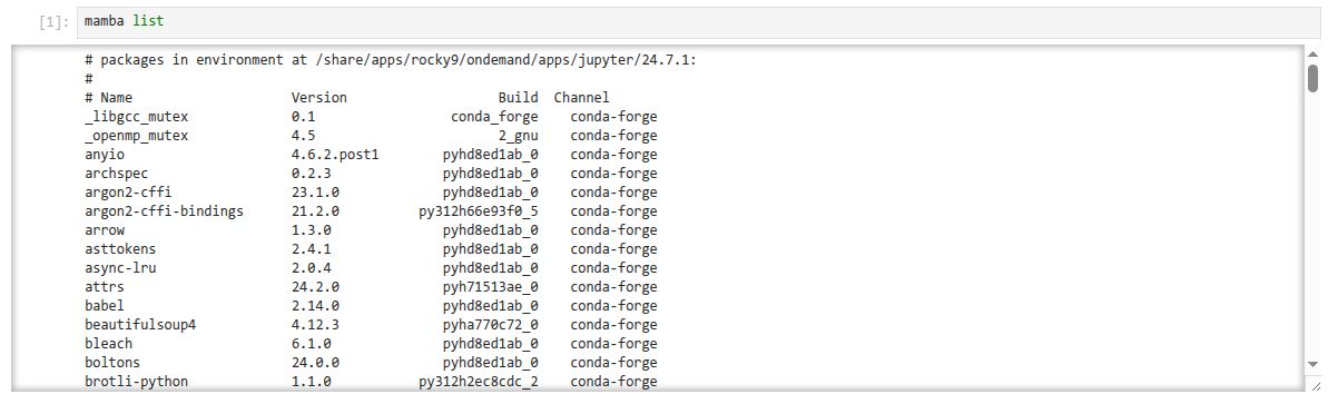 Jupyter central Conda env kernel