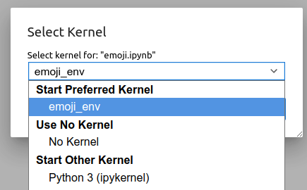 Jupyter switching environment