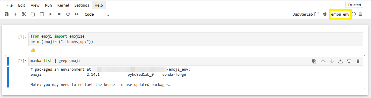 Jupyter correct environment