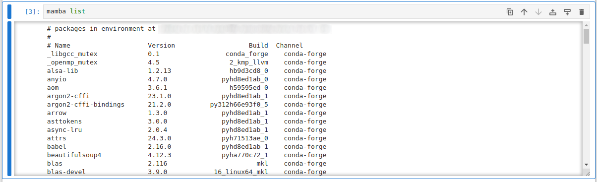 Jupyter personal Conda env packages