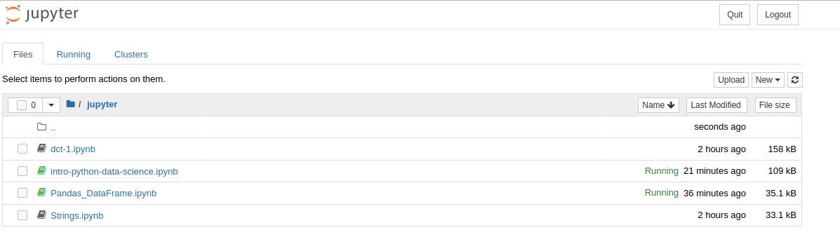 Jupyter default session